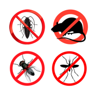 Отрава от грызунов