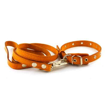 Ошейники, поводки