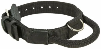 Ошейники, поводки