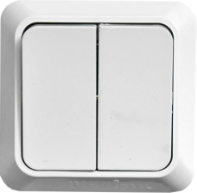 Выкл + розетка 3кл 2П+3 с з/ш TDM