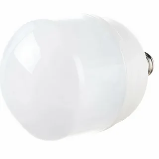 Лампа свет. SAFFIT  E27 100 Вт 6400К Т160 с переходником E40