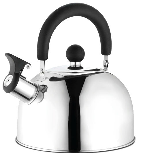 Чайник LARA LR00-40 нержавеющий зеркальный 2,5 л